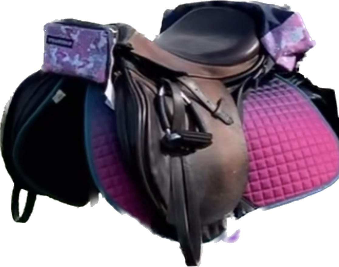 Swell Bag