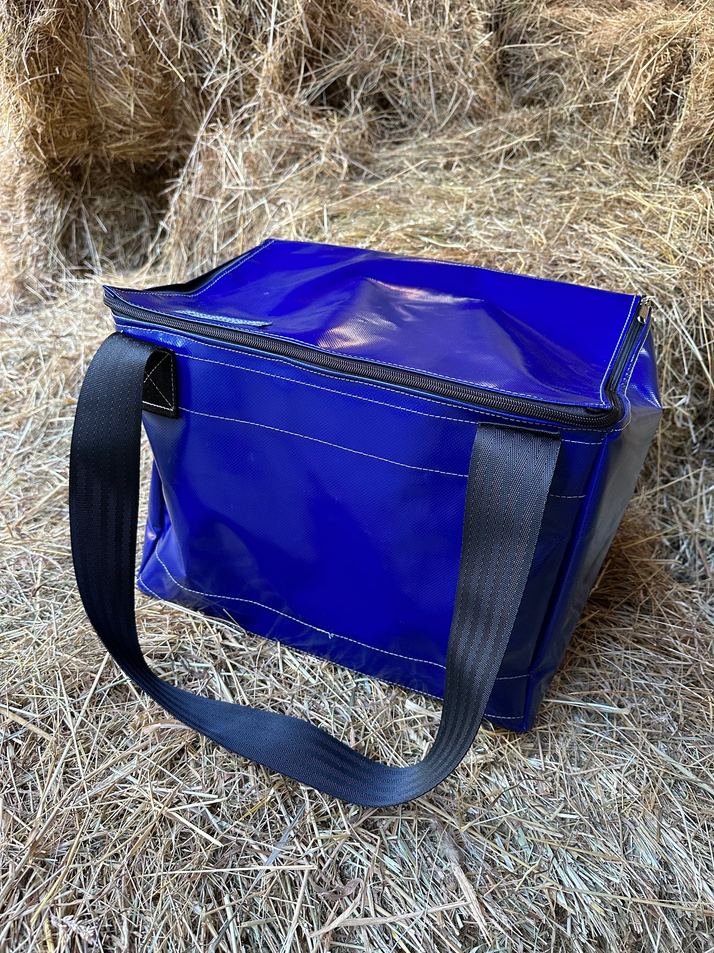 Horse Boot Bag