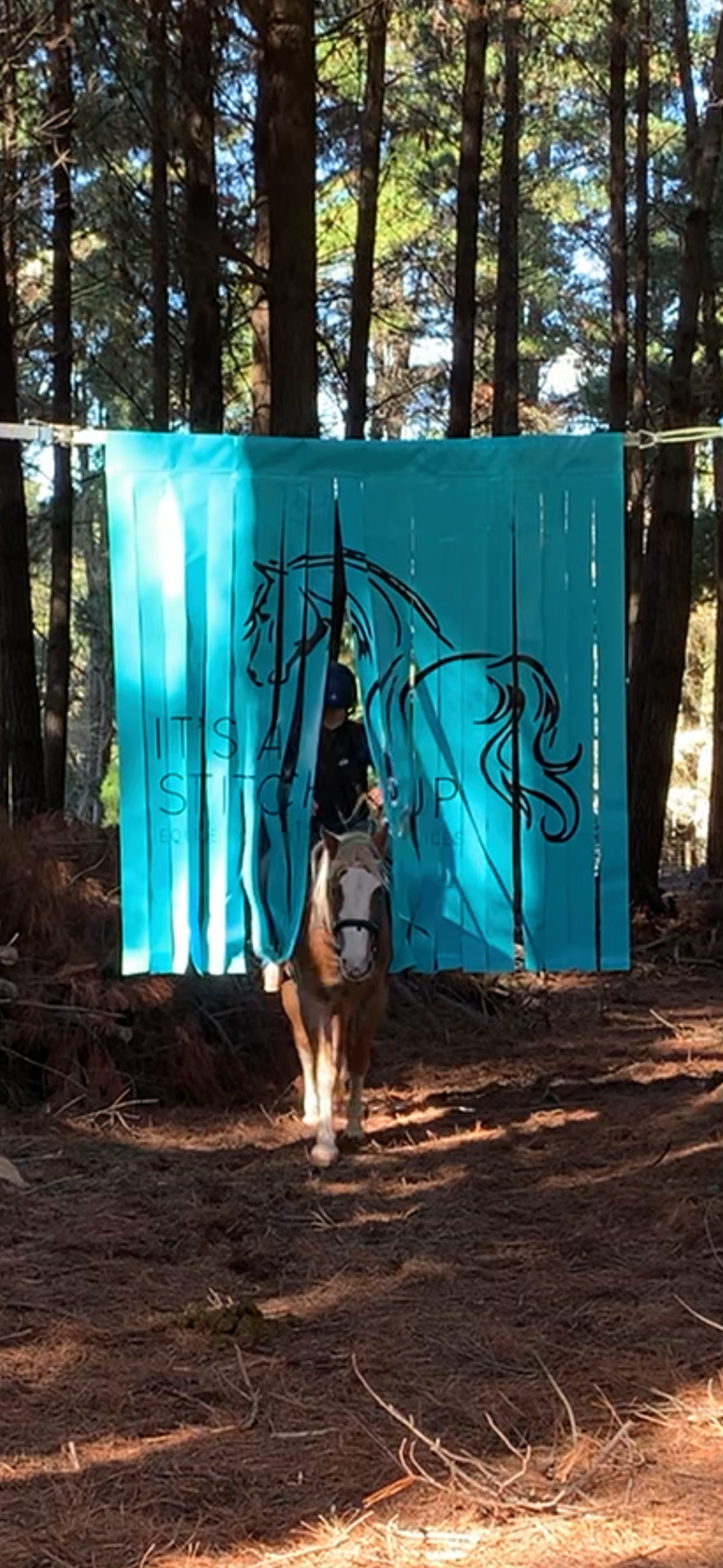 Cowboy Curtain