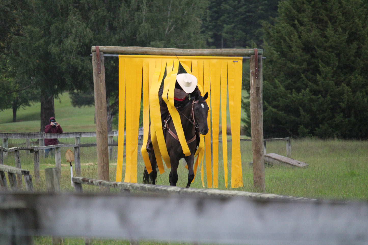 Cowboy Curtain