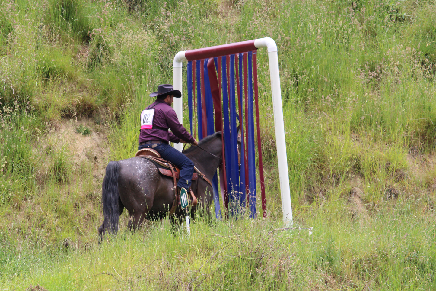 Cowboy Curtain