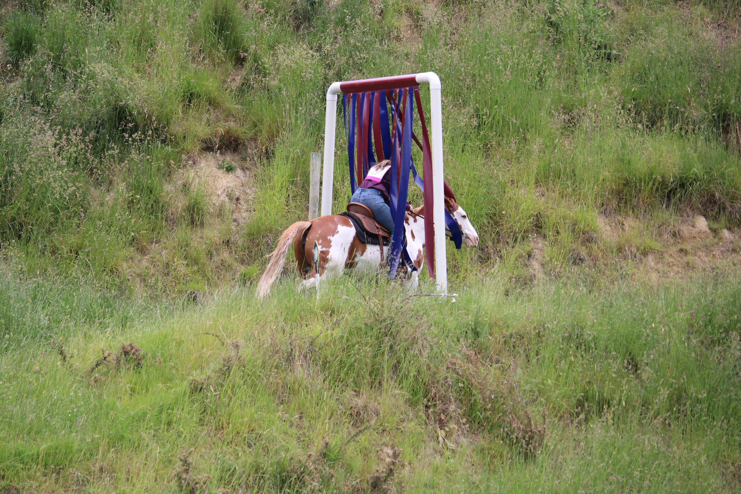 Cowboy Curtain