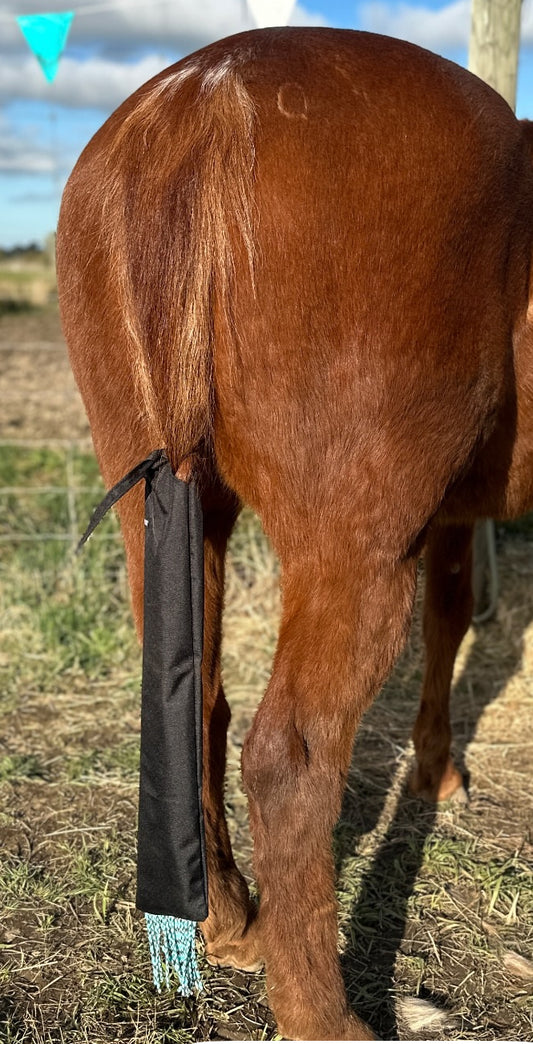 Tail Bag with Tassels